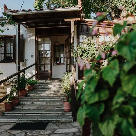 Traditional House In